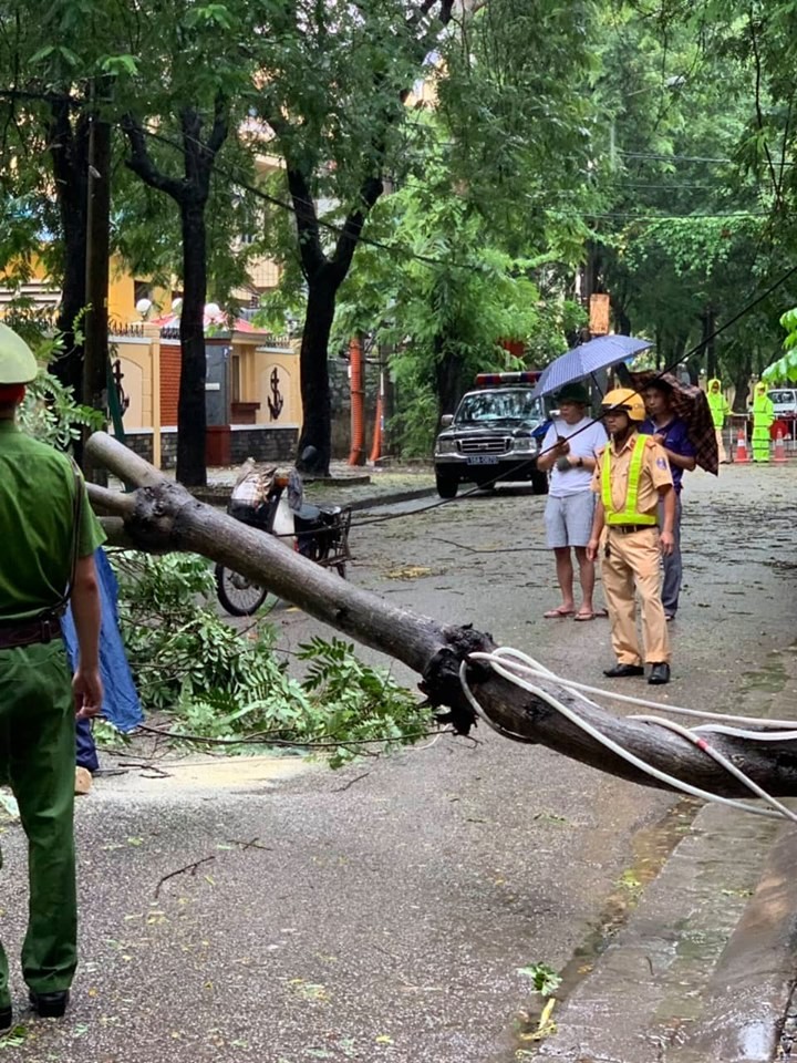 Tin moi nhat bao so 3: Hai Duong ngap lut nang, Hai Phong cay xanh bat goc hang loat-Hinh-39