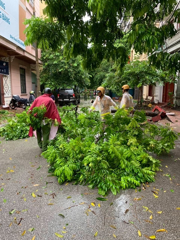 Tin moi nhat bao so 3: Hai Duong ngap lut nang, Hai Phong cay xanh bat goc hang loat-Hinh-41