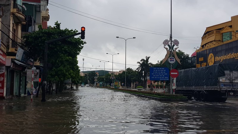 Tin moi nhat bao so 3: Hai Duong ngap lut nang, Hai Phong cay xanh bat goc hang loat-Hinh-11