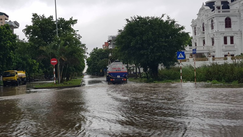 Tin moi nhat bao so 3: Hai Duong ngap lut nang, Hai Phong cay xanh bat goc hang loat-Hinh-12