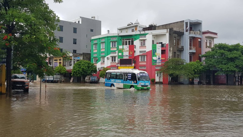 Tin moi nhat bao so 3: Hai Duong ngap lut nang, Hai Phong cay xanh bat goc hang loat-Hinh-14