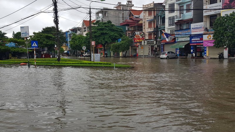 Tin moi nhat bao so 3: Hai Duong ngap lut nang, Hai Phong cay xanh bat goc hang loat-Hinh-15