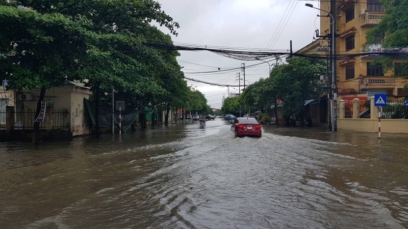 Tin moi nhat bao so 3: Hai Duong ngap lut nang, Hai Phong cay xanh bat goc hang loat-Hinh-16