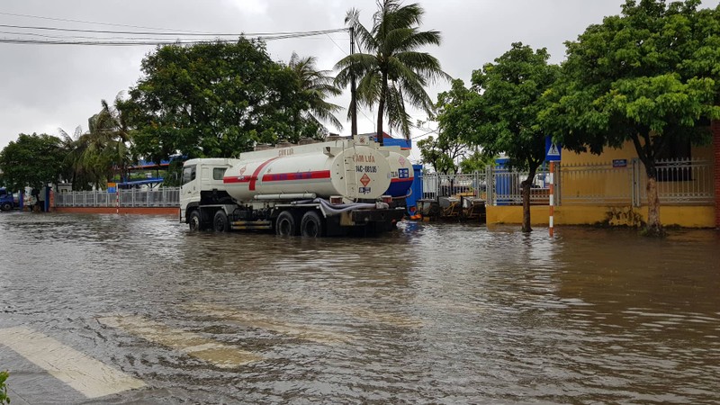 Tin moi nhat bao so 3: Hai Duong ngap lut nang, Hai Phong cay xanh bat goc hang loat-Hinh-17