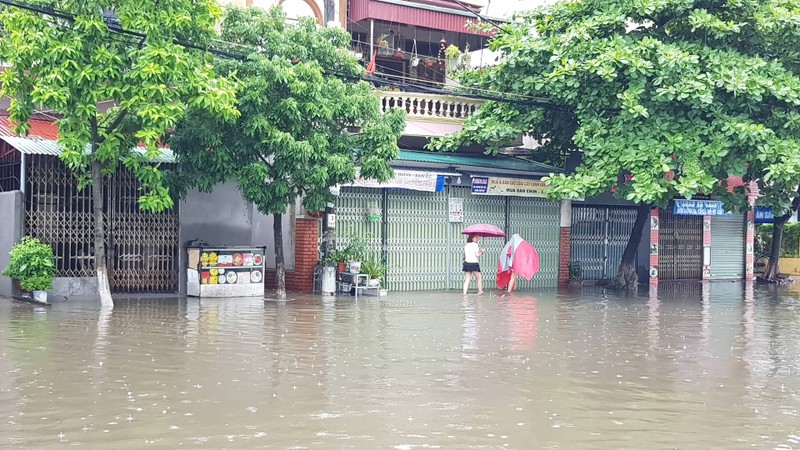 Tin moi nhat bao so 3: Hai Duong ngap lut nang, Hai Phong cay xanh bat goc hang loat-Hinh-18