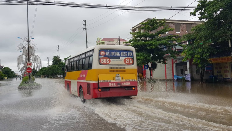 Tin moi nhat bao so 3: Hai Duong ngap lut nang, Hai Phong cay xanh bat goc hang loat-Hinh-2