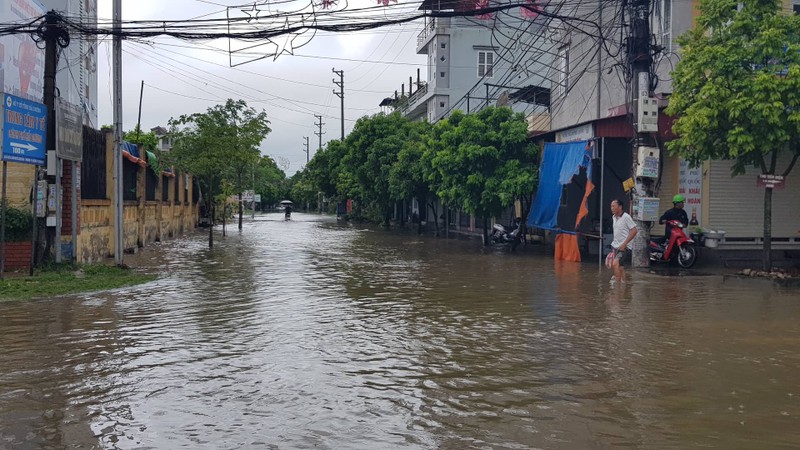 Tin moi nhat bao so 3: Hai Duong ngap lut nang, Hai Phong cay xanh bat goc hang loat-Hinh-20