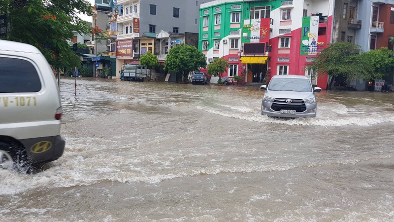 Tin moi nhat bao so 3: Hai Duong ngap lut nang, Hai Phong cay xanh bat goc hang loat-Hinh-21