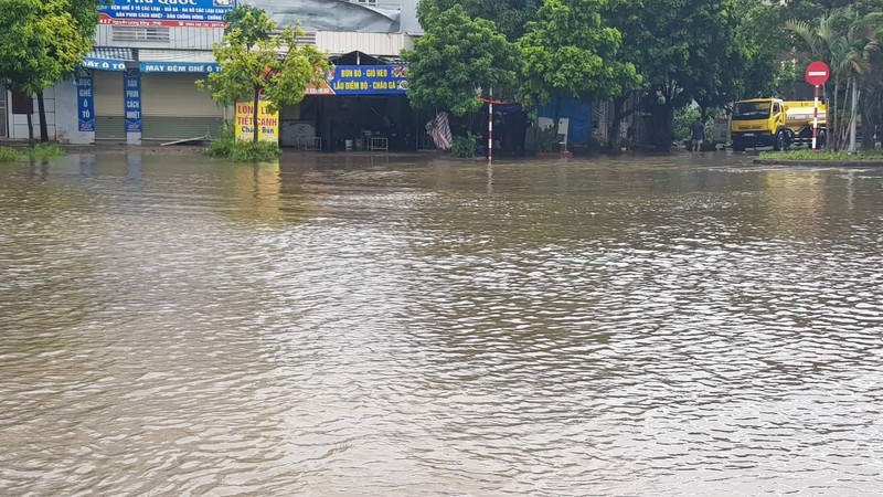 Tin moi nhat bao so 3: Hai Duong ngap lut nang, Hai Phong cay xanh bat goc hang loat-Hinh-23