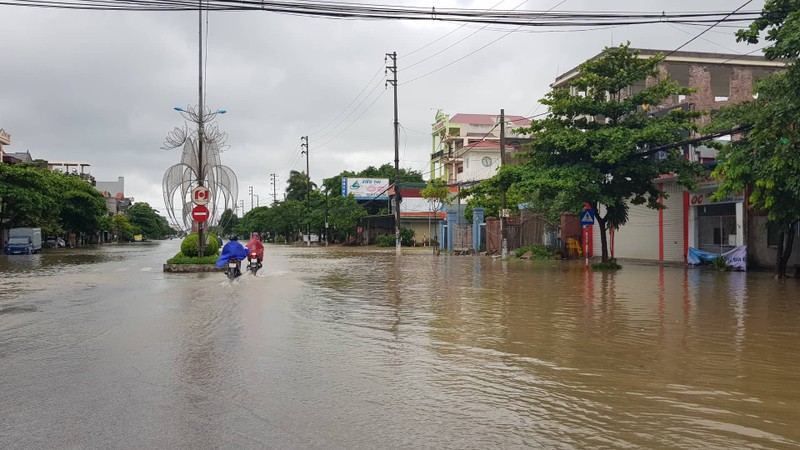 Tin moi nhat bao so 3: Hai Duong ngap lut nang, Hai Phong cay xanh bat goc hang loat-Hinh-24