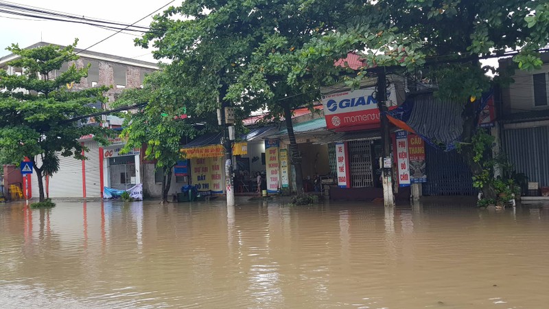 Tin moi nhat bao so 3: Hai Duong ngap lut nang, Hai Phong cay xanh bat goc hang loat-Hinh-28