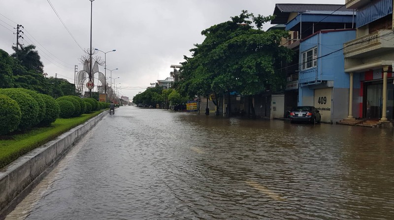 Tin moi nhat bao so 3: Hai Duong ngap lut nang, Hai Phong cay xanh bat goc hang loat-Hinh-30