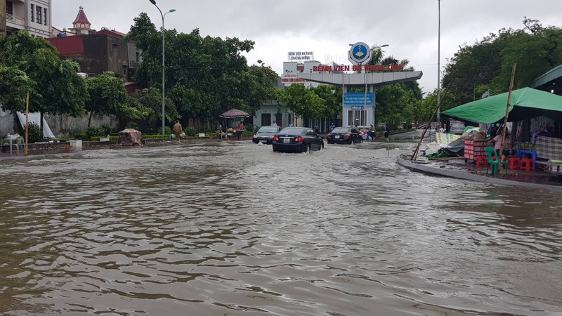 Tin moi nhat bao so 3: Hai Duong ngap lut nang, Hai Phong cay xanh bat goc hang loat-Hinh-31