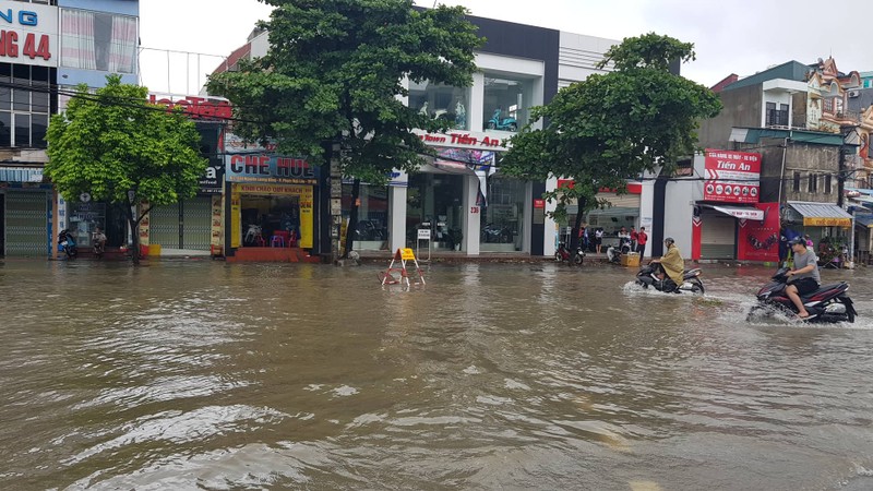 Tin moi nhat bao so 3: Hai Duong ngap lut nang, Hai Phong cay xanh bat goc hang loat-Hinh-6