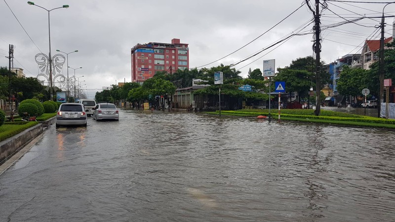 Tin moi nhat bao so 3: Hai Duong ngap lut nang, Hai Phong cay xanh bat goc hang loat-Hinh-8