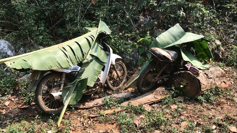 Moc Chau - Son La: Lam tac ngang nhien tan pha rung Chieng Khua-Hinh-9