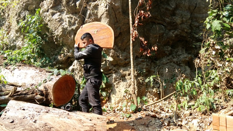 Son La: Tan mat xem lam tac pha rung Chieng Khua-Hinh-6