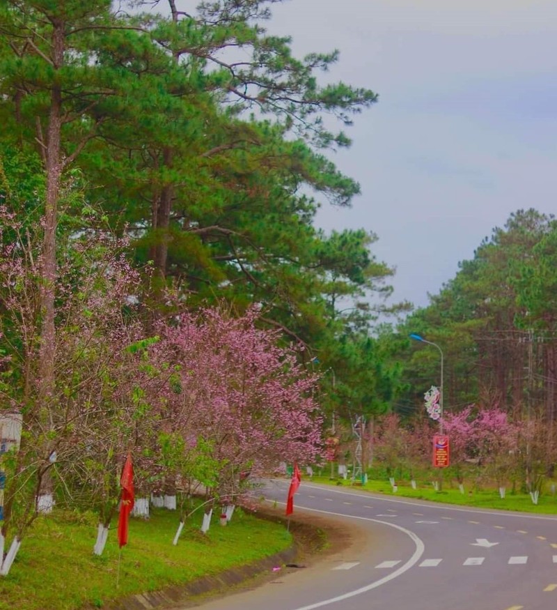 Kon Tum: Mang Den “ket cung” ngay mung 4 Tet du thoi tiet mua lanh-Hinh-3