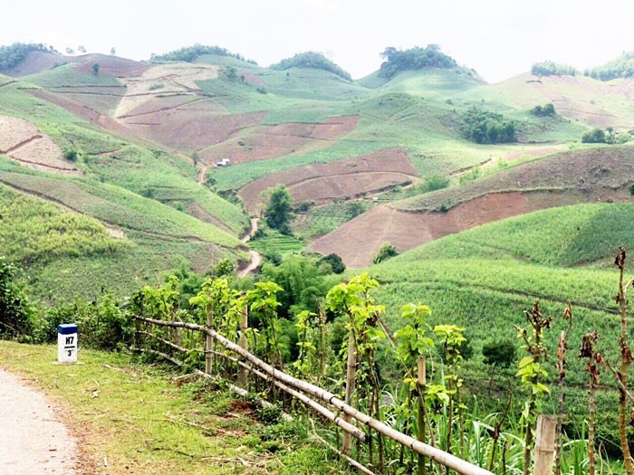 Gan 100 trieu nguoi tieu dung Viet Nam se duoc mua duong gia dat hay re?