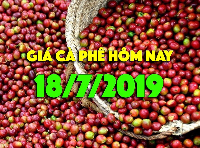 Gia ca phe hom nay 18/7: Tang them 400 dong, dat nguong 34.000 dong/kg