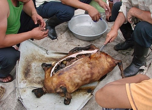 Choang voi mon Boodog 'de nhoi da nong' nguoi Mong Co co mot khong hai-Hinh-6