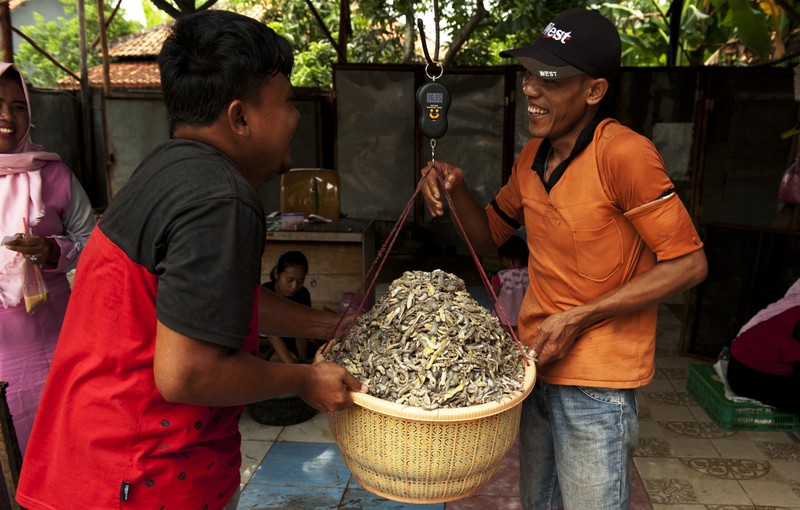 Ban co dam thuong thuc dac san than lan kho o Indonesia?-Hinh-5