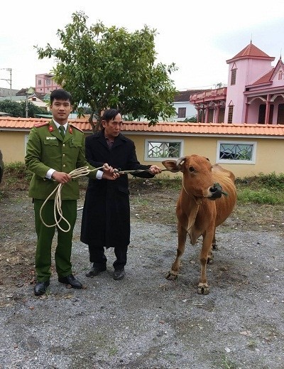 Doi nam nu chuyen trom cap trau, bo ve giet thit o Quang Binh-Hinh-2