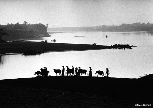 Cuoc song chan thuc o mien Bac Viet Nam nam 1969-Hinh-3