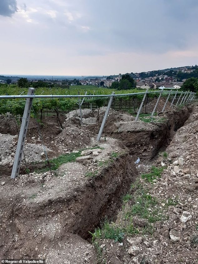 Lo 'bau vat' cua de che La Ma duoi vuon nho o Italy-Hinh-3