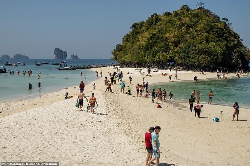 Ngam dao Ga Thai Lan giua bien me hoac du khach-Hinh-5