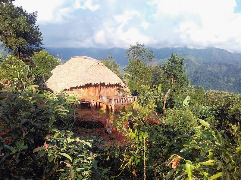 Doc dao ngoi lang goi ten nhau bang tieng huyt sao-Hinh-8