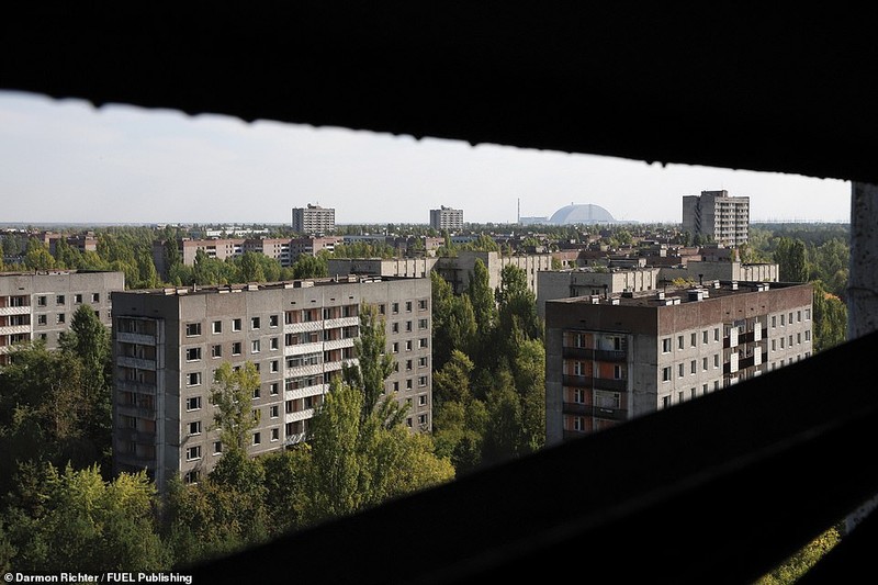 Sau 34 nam tham kich hat nhan, “vung dat chet” Chernobyl ra sao?-Hinh-5