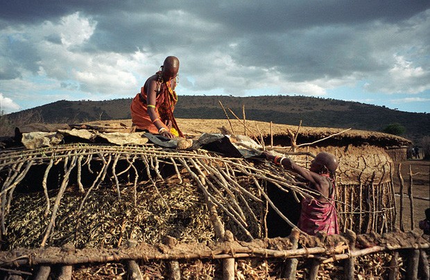 Vi sao bo toc nguoi Maasai lay phan trau bo de xay nha?-Hinh-5