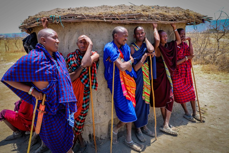 Vi sao bo toc nguoi Maasai lay phan trau bo de xay nha?-Hinh-8