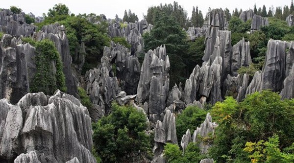 Ngam Hoa qua son boi canh noi Ton Ngo Khong chao doi-Hinh-4