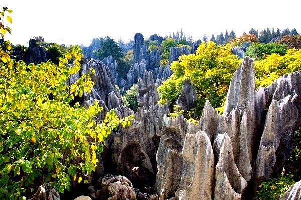 Ngam Hoa qua son boi canh noi Ton Ngo Khong chao doi-Hinh-6