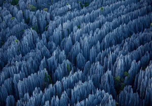 Ngam Hoa qua son boi canh noi Ton Ngo Khong chao doi-Hinh-9