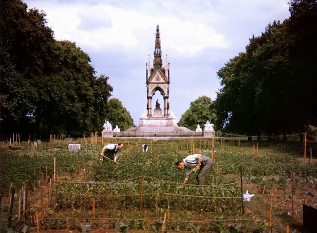 Hinh anh dau thuong cua London khi bi Duc quoc xa oanh tac-Hinh-6