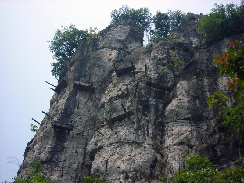 La lung nhung quan tai lo lung tren vach da-Hinh-10