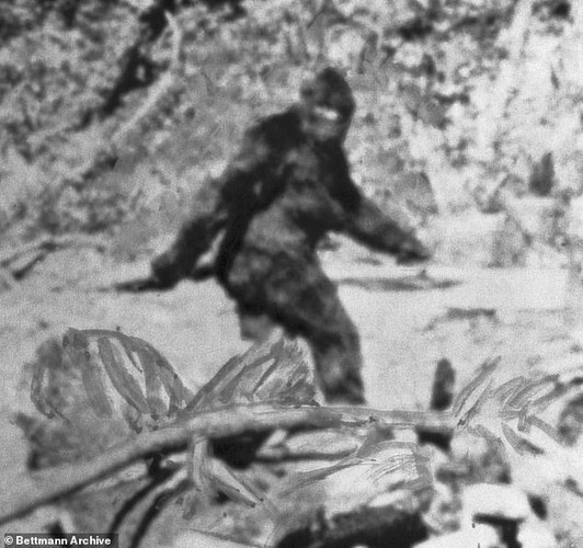 Tuyen bo soc: FBI tung am tham dieu tra quai vat Bigfoot?-Hinh-6