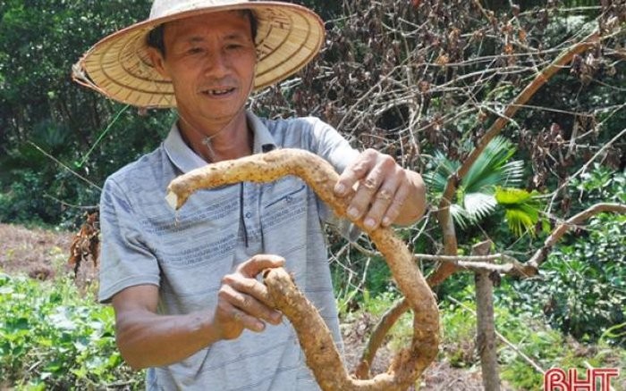 Cu mai day cho Viet nhung gia gap doi o nuoc ngoai-Hinh-5