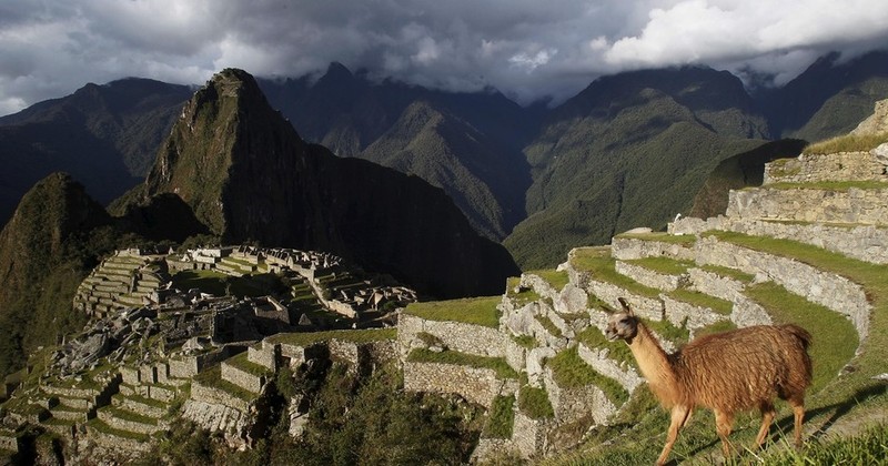 Vi sao truoc nhung tran dong dat kinh hoang, thanh dia Machu Picchu van dung vung?-Hinh-5