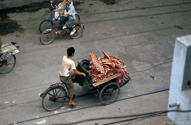 Anh doi thuong gan gui cua Ha Noi nhung nam 1990-Hinh-2