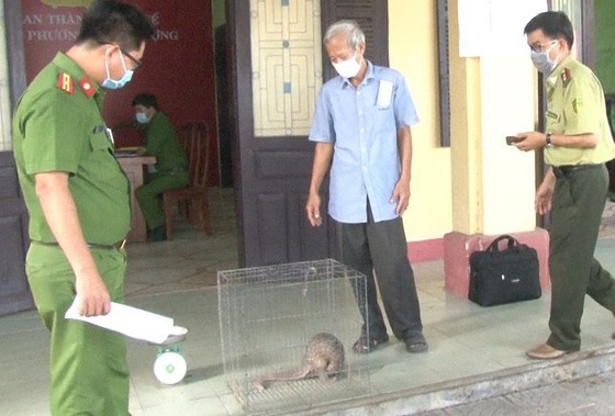 Thu vi te te vang cong con tren lung o Quang Nam-Hinh-6