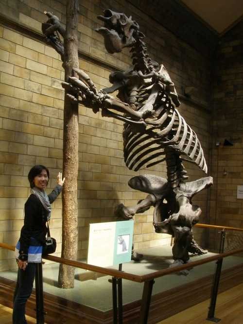 Megatherium la quai thu cao toi 6m, nang den 5 tan-Hinh-10