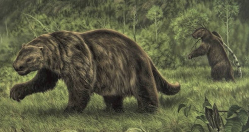 Megatherium la quai thu cao toi 6m, nang den 5 tan-Hinh-4