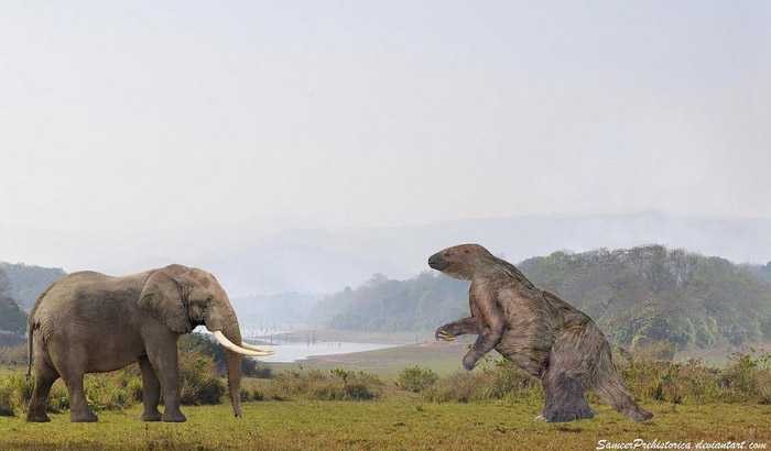 Megatherium la quai thu cao toi 6m, nang den 5 tan-Hinh-5