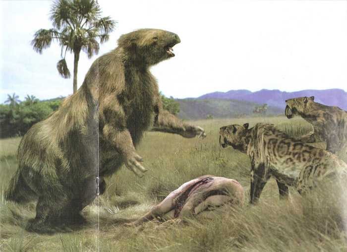 Megatherium la quai thu cao toi 6m, nang den 5 tan-Hinh-6