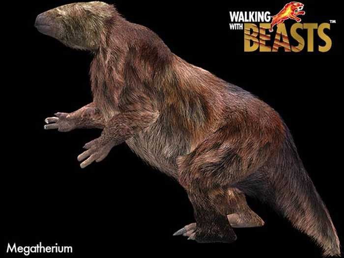 Megatherium la quai thu cao toi 6m, nang den 5 tan-Hinh-7