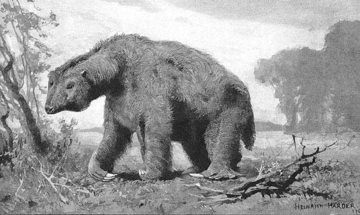 Megatherium la quai thu cao toi 6m, nang den 5 tan-Hinh-8